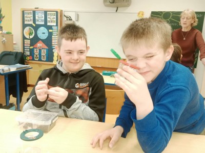 074284dc-048e-4d81-8b82-6b99d660846d.jfif