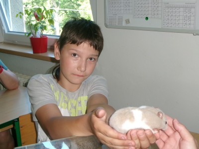 100_7831.JPG