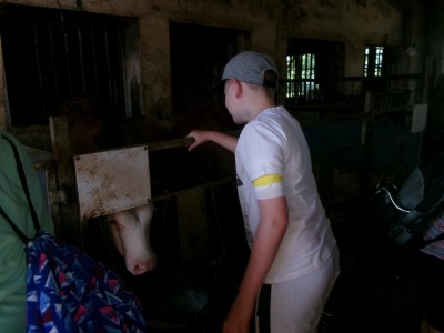 100_7903.JPG