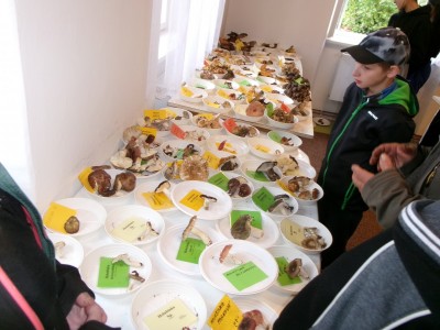 100_8340.JPG
