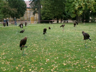 100_8544.JPG