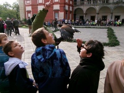 100_8557.JPG