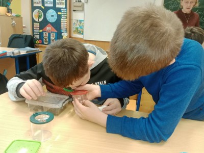 84b09abd-a899-4a1d-8d04-7a630d631ef1.jfif