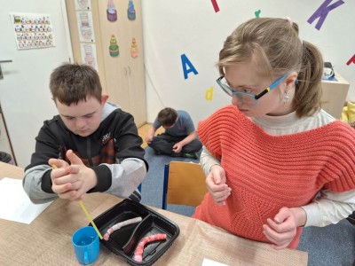 b1dd85bf-aa40-4a49-9ac9-7e919e2609fc.jfif