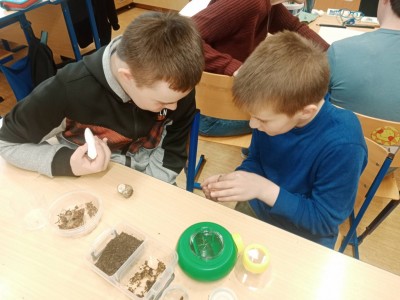 fc8cab1c-7849-41a3-b471-d2b24436c5c0.jfif